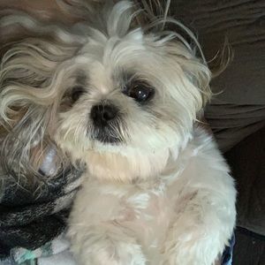 Meet your Posher, Cristian